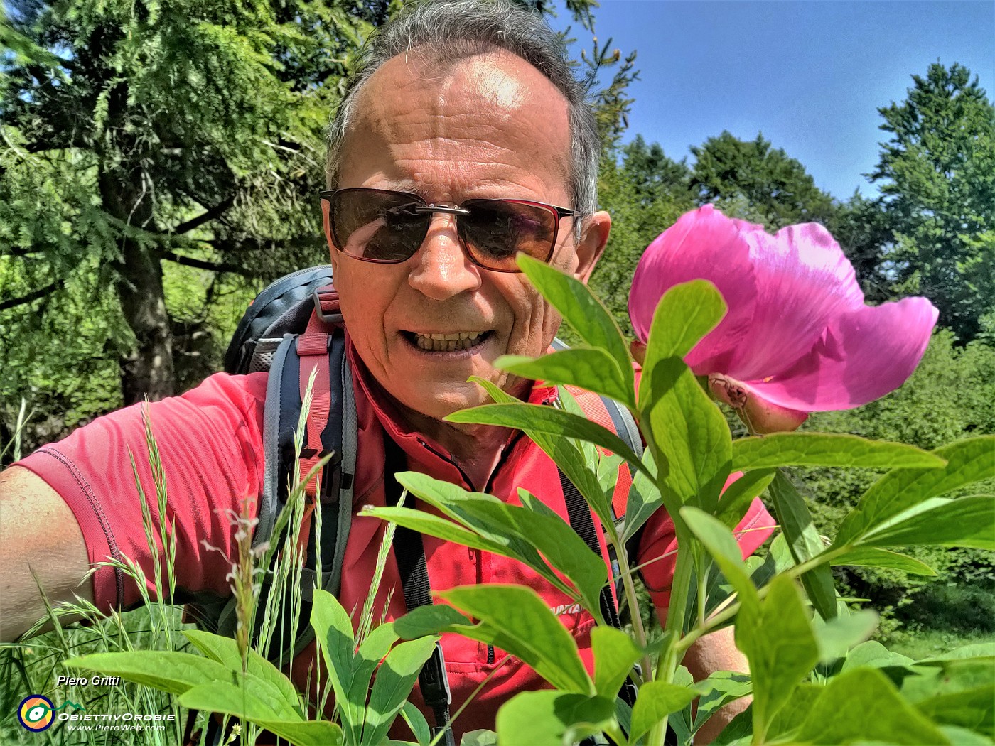 01 Mi son goduto lo spettacolo della Peonia officinalis (Peonia selvatica) in piena fioritura.jpg